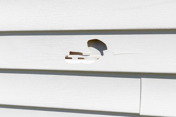 Best Construction Debris Removal  in Overlea, MD